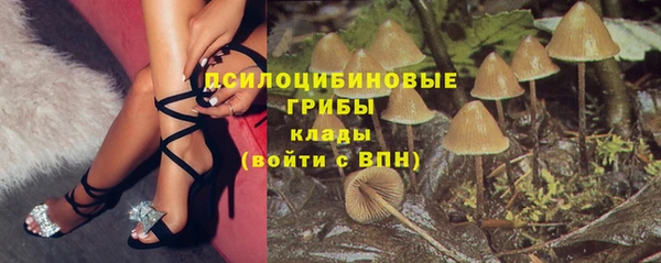 2c-b Алзамай