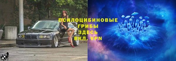 Альфа ПВП Алексин
