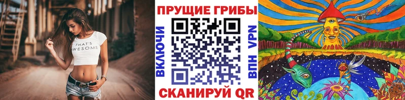Галлюциногенные грибы Psilocybine cubensis  Спасск 